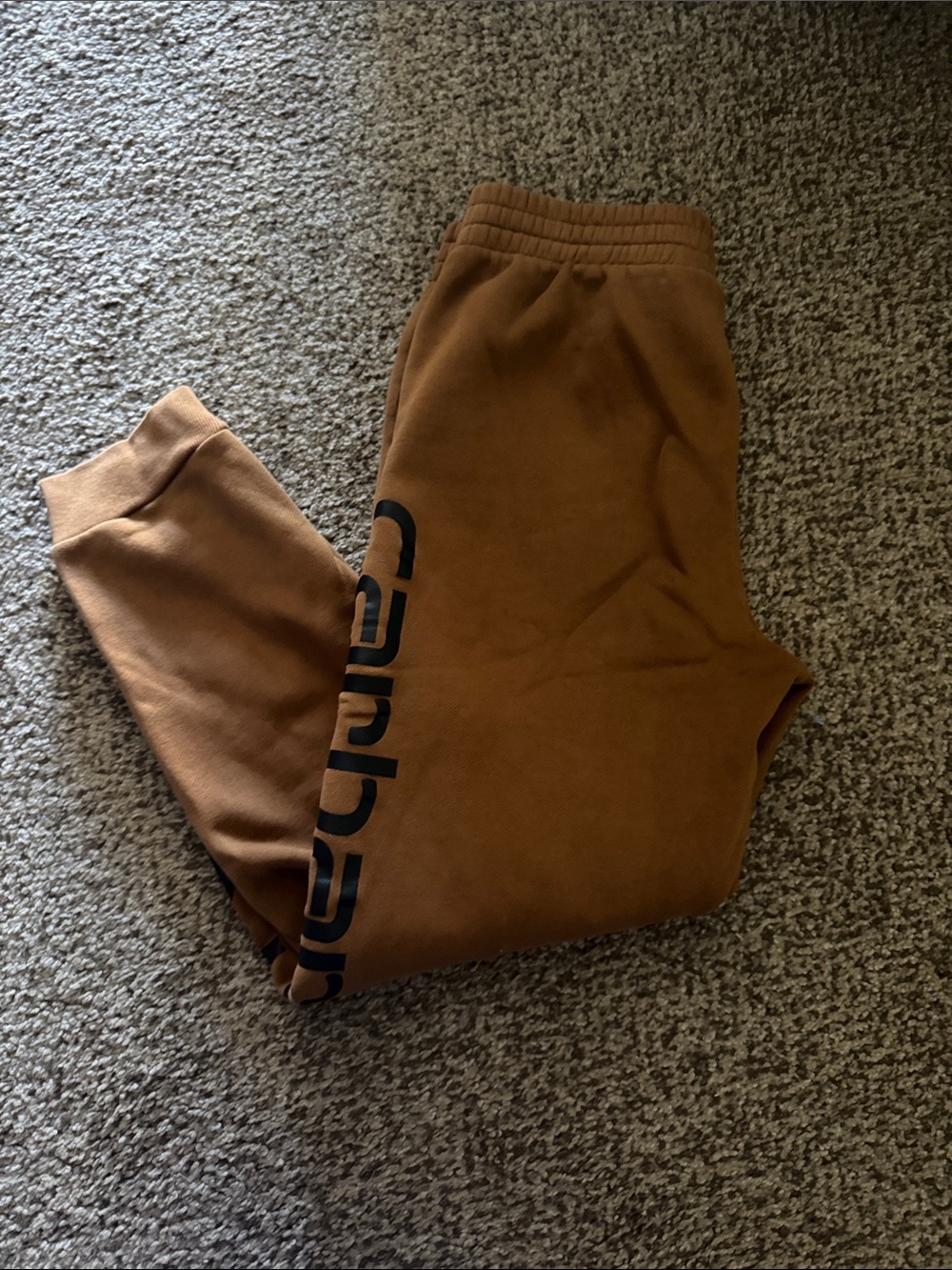 carhartt sweats